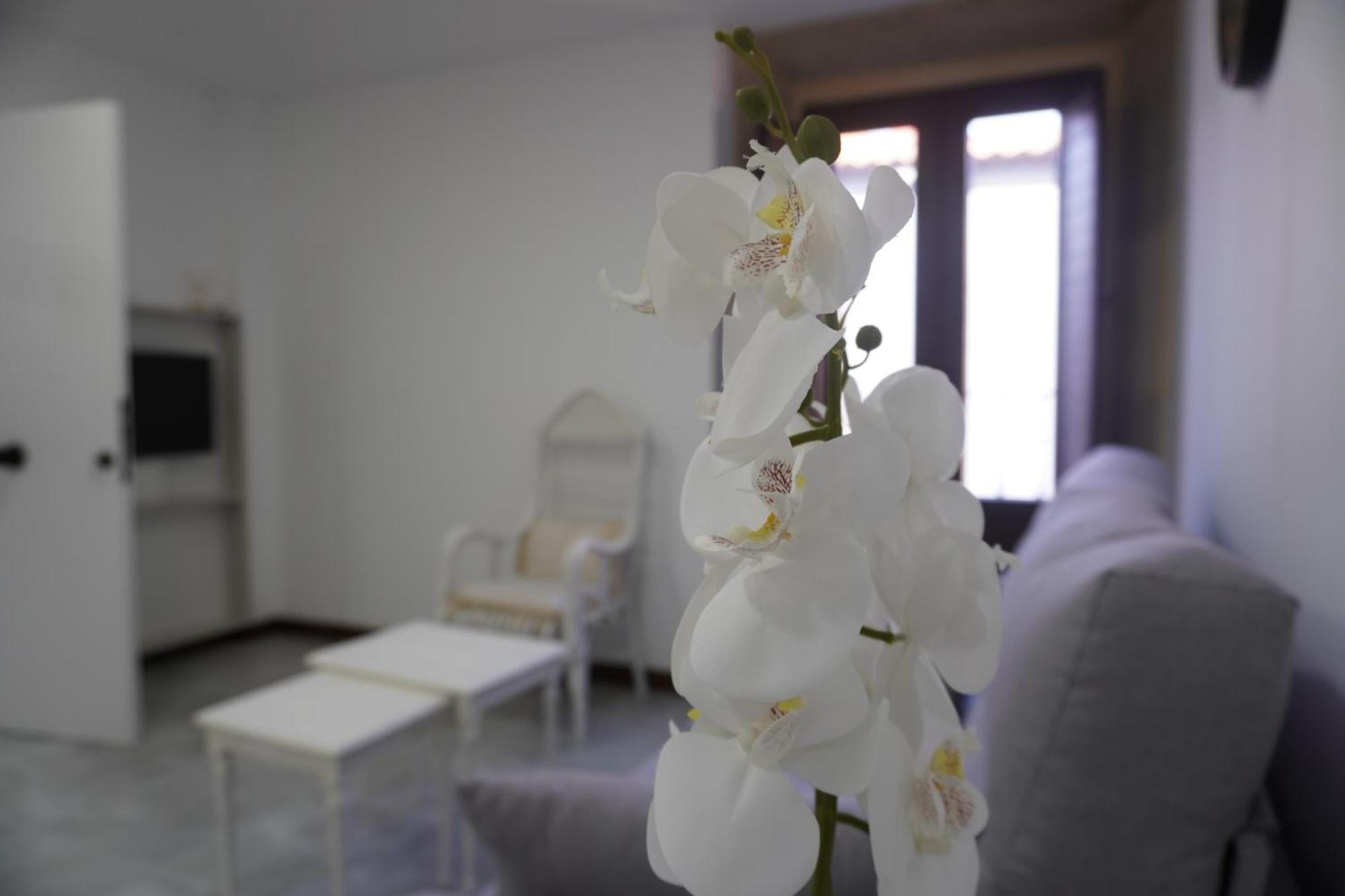 Apartamento Sanin 3 Lumbrales エクステリア 写真