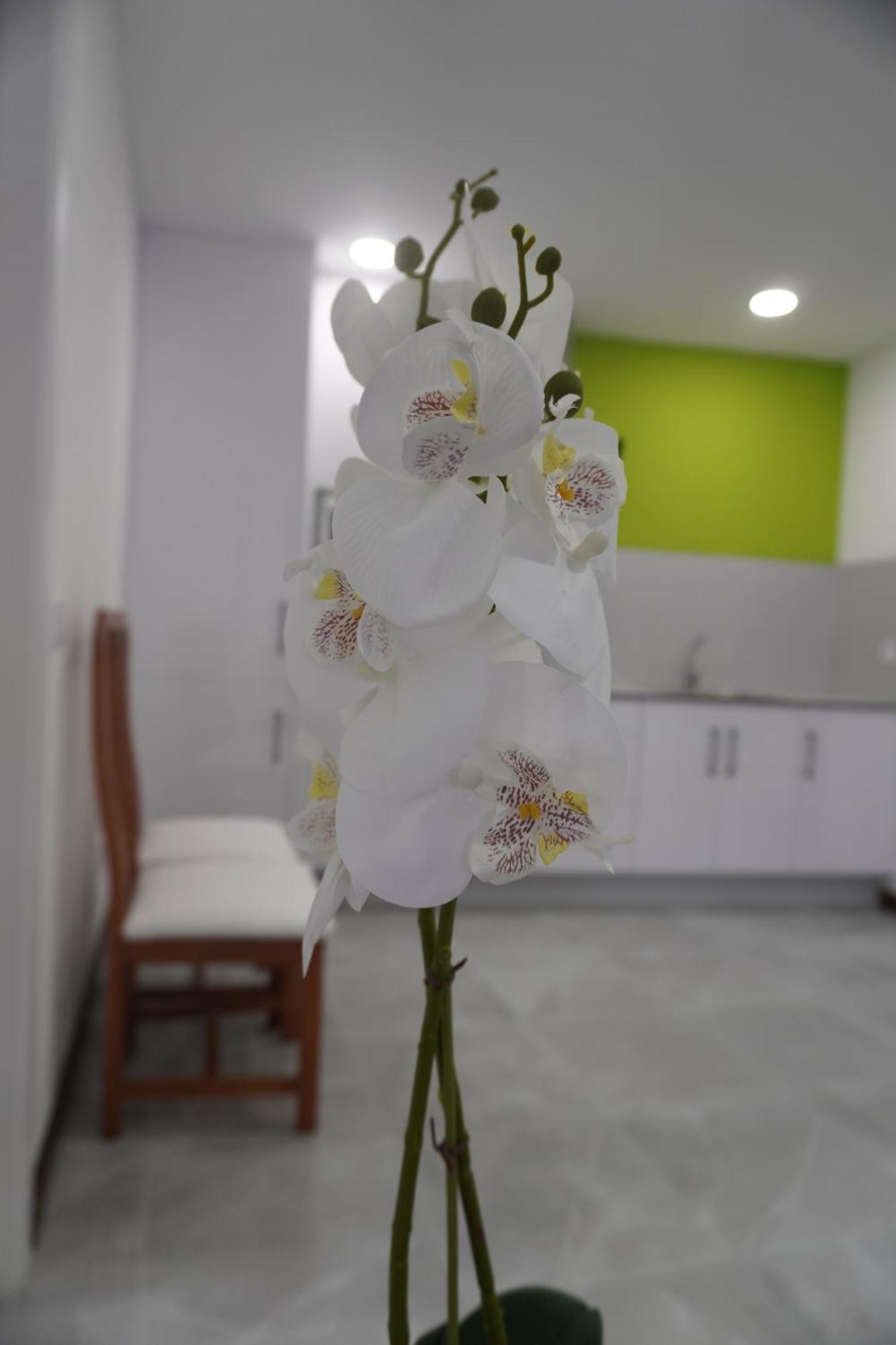 Apartamento Sanin 3 Lumbrales エクステリア 写真